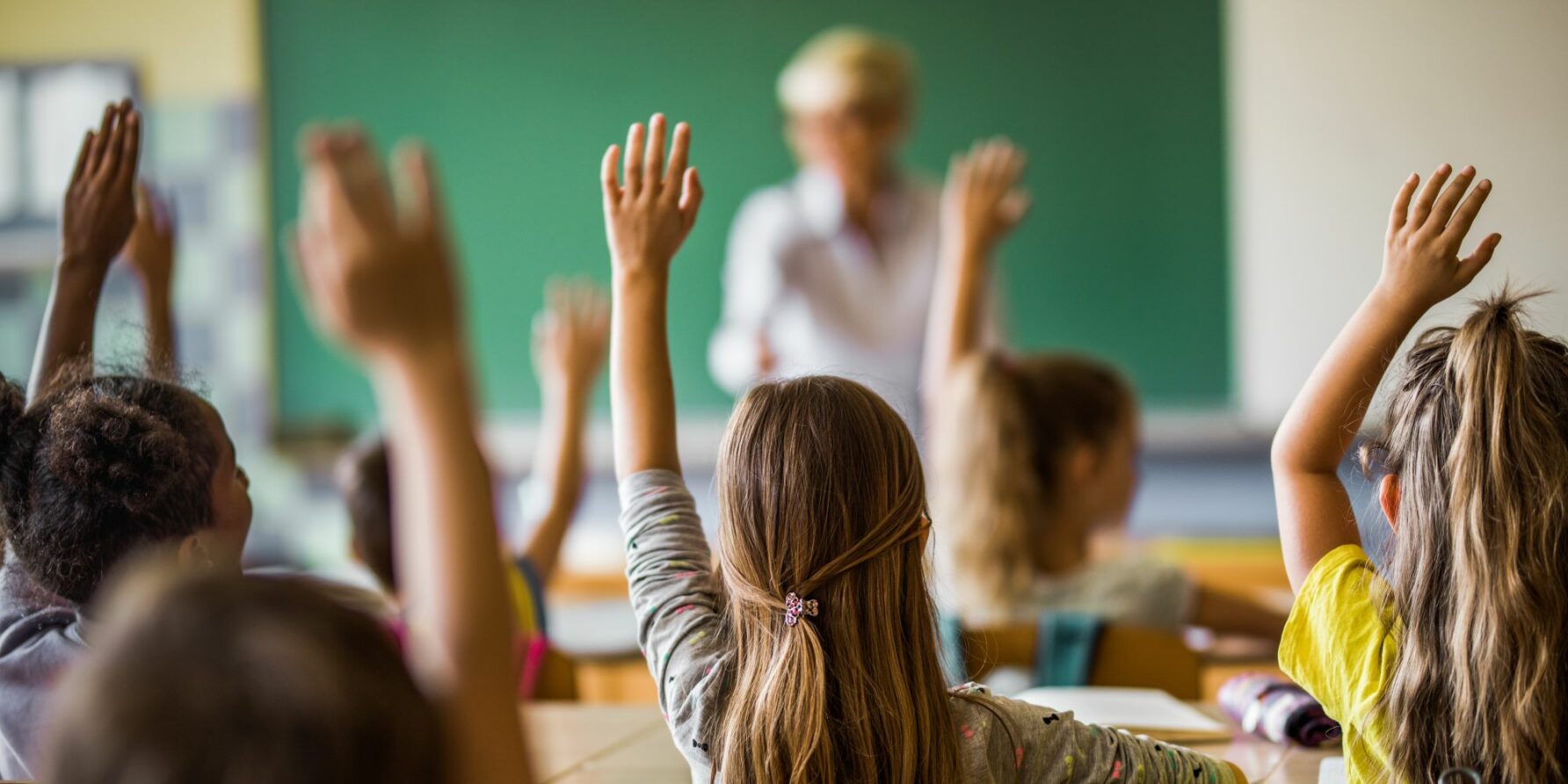 Ein Klassenzimmer mit Schüler:innen von hinten, die aufzeigen und eine Lehrerin vor der Tafel