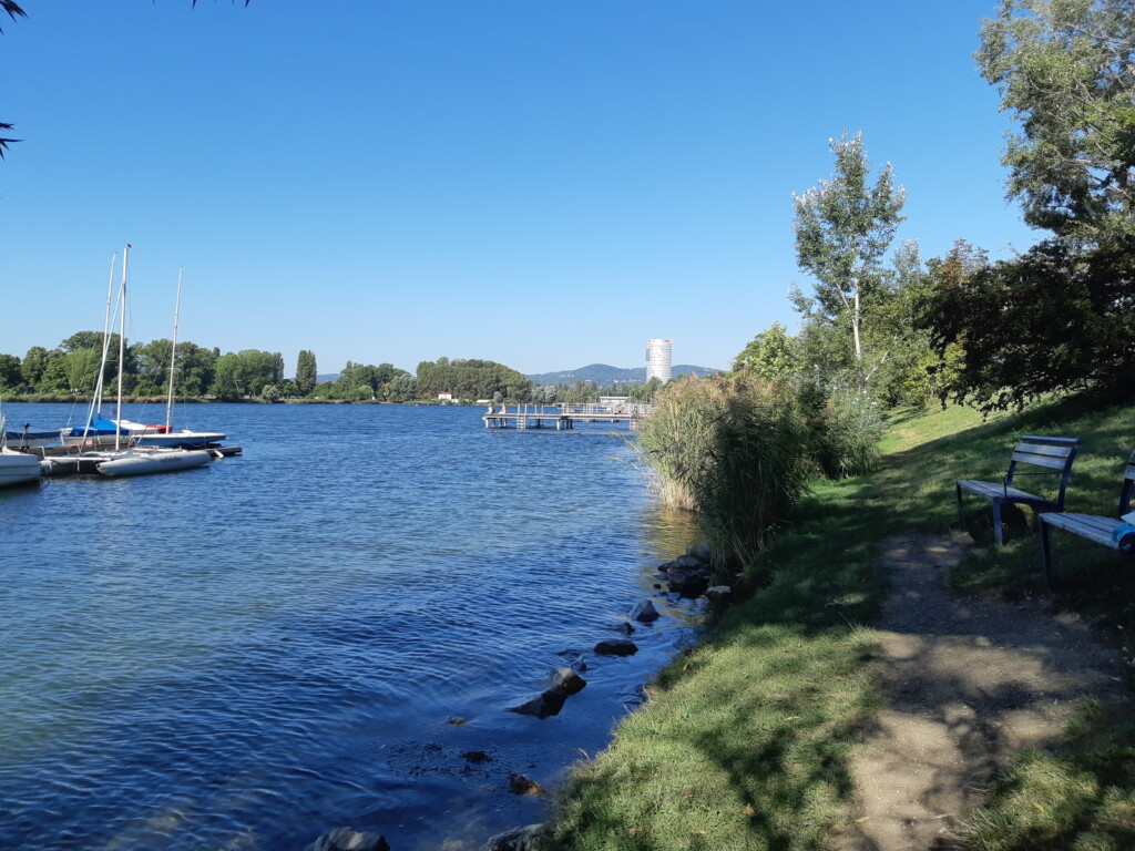 Gewässer mit Unferböschung und einigen Segelboten.