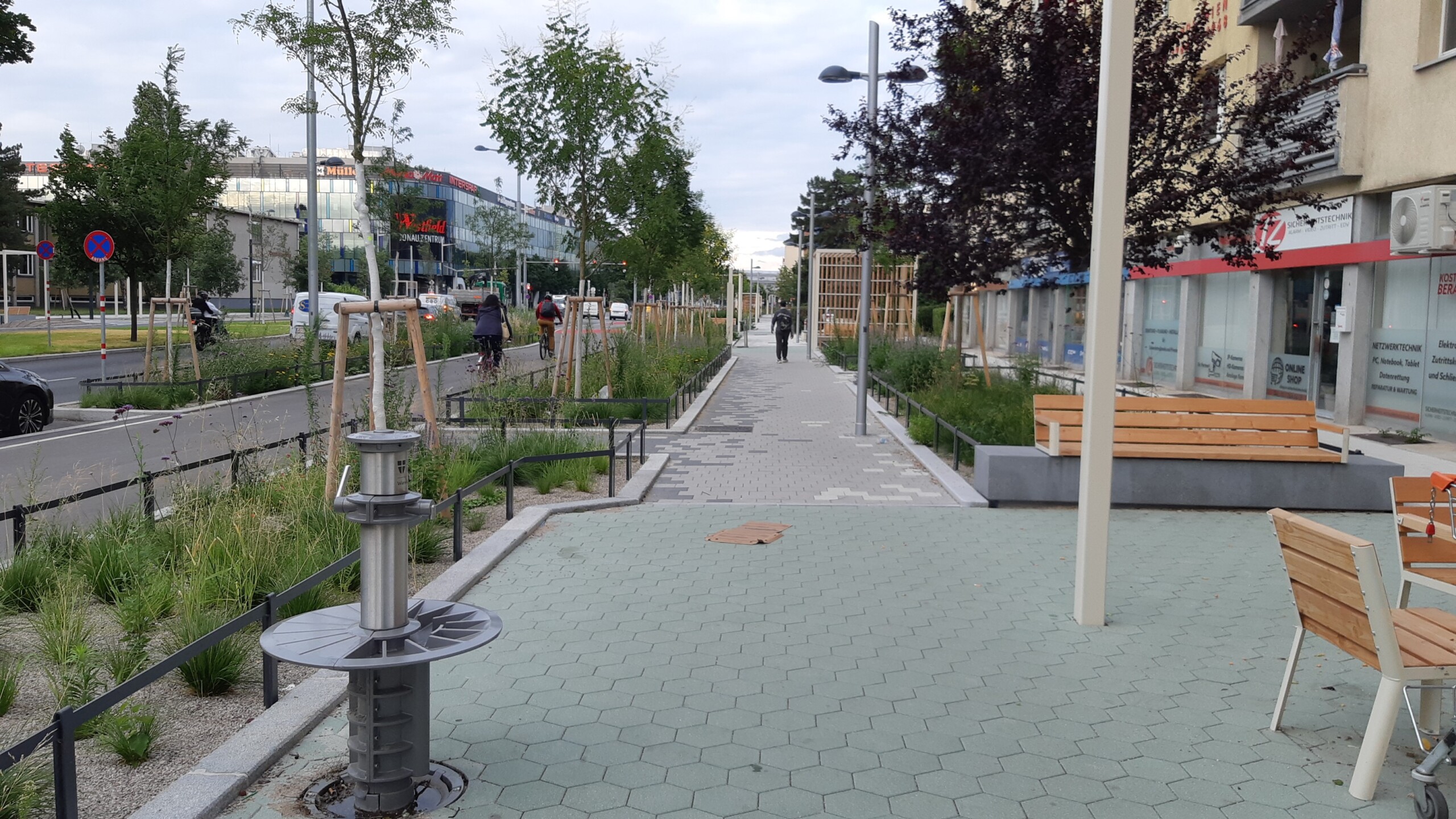 Breiter Radweg mit beidseiitigen Pflanzenbeeten sowie Sitzmobiliar.